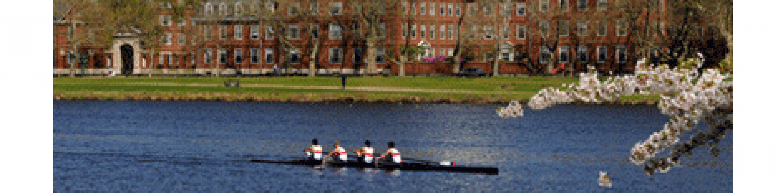 croppedharvardrowing.png Ivy College Essay