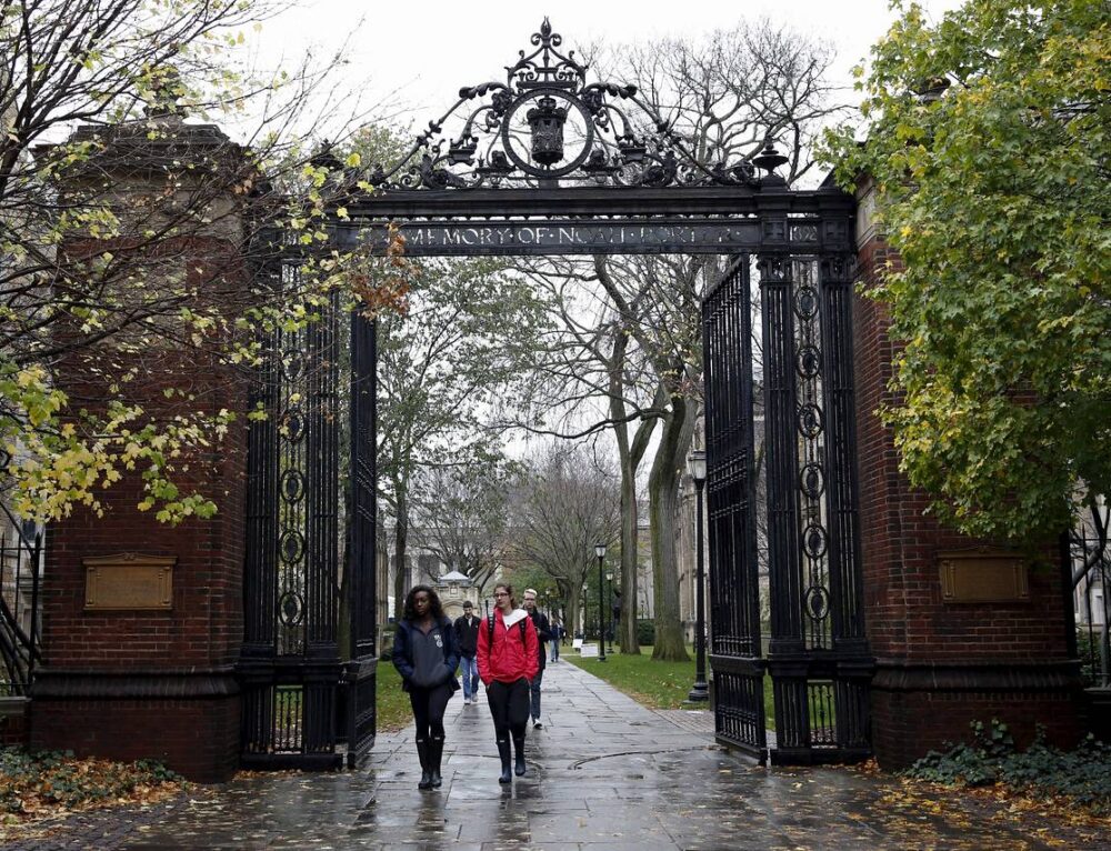 College Admissions Essay Examples Get You Into Ivy League Crafting