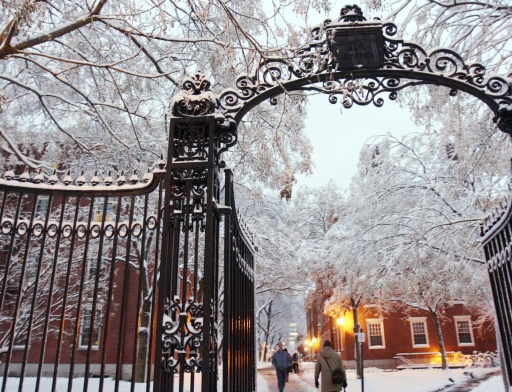 College Admissions Essay Examples Get You Into Ivy League Crafting