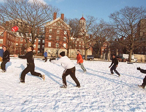 Is It Too Late to Transfer to an Ivy League College?